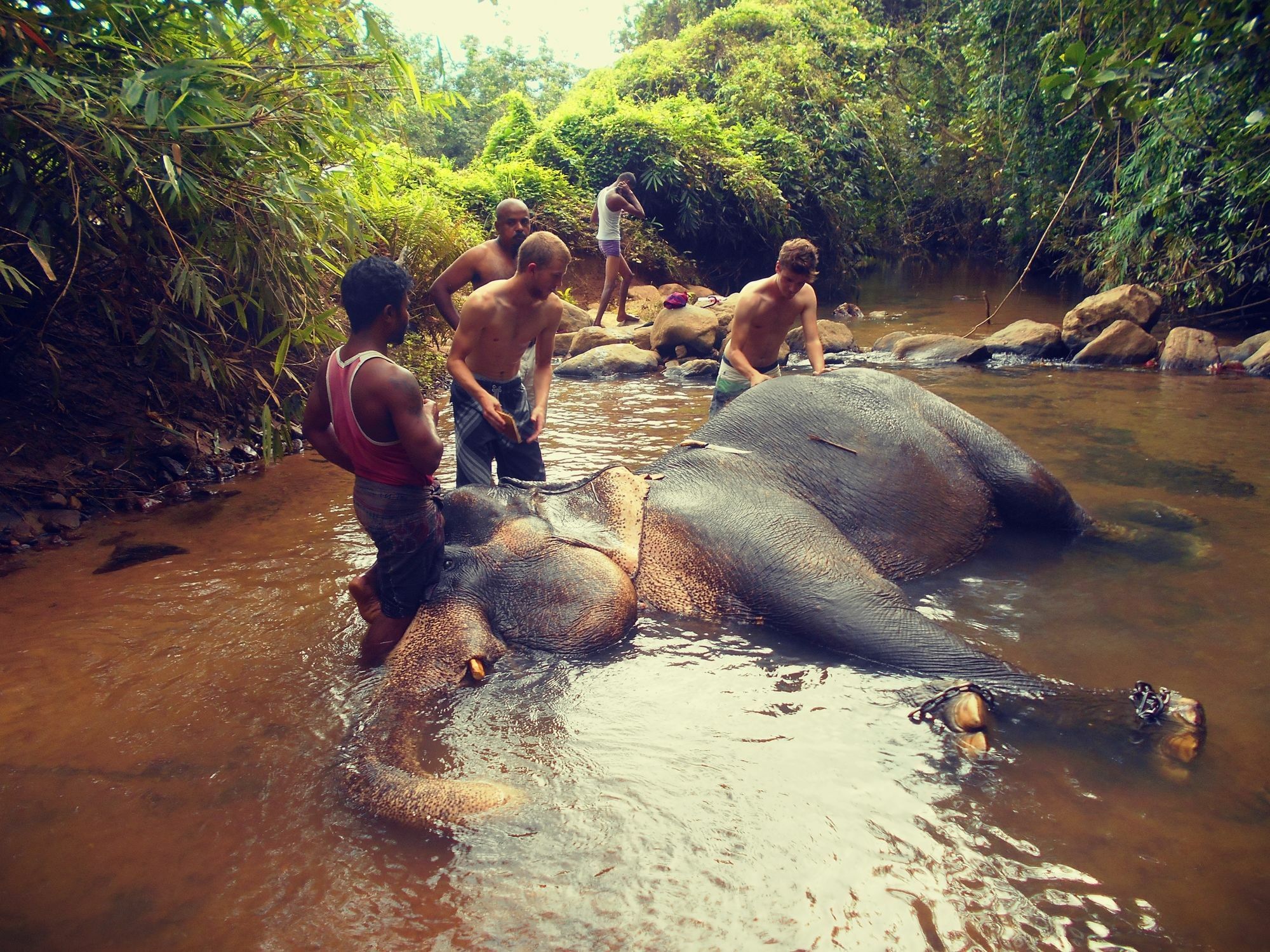 Sapphire Holiday Resort Ratnapura Bagian luar foto